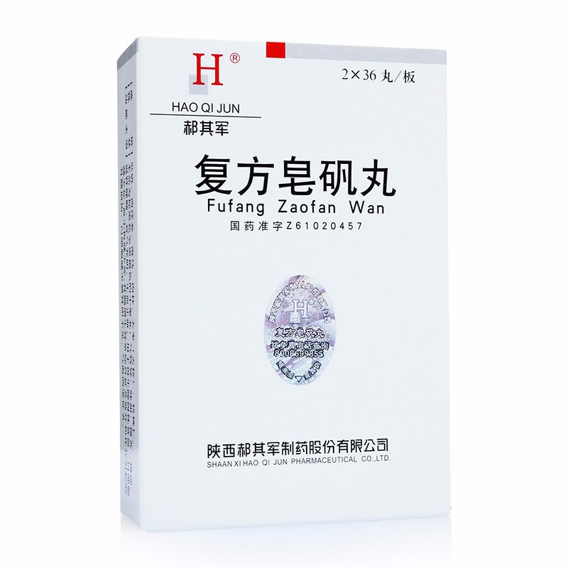 復方皂礬丸(郝其軍)