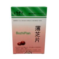 薄芝片(浙南)