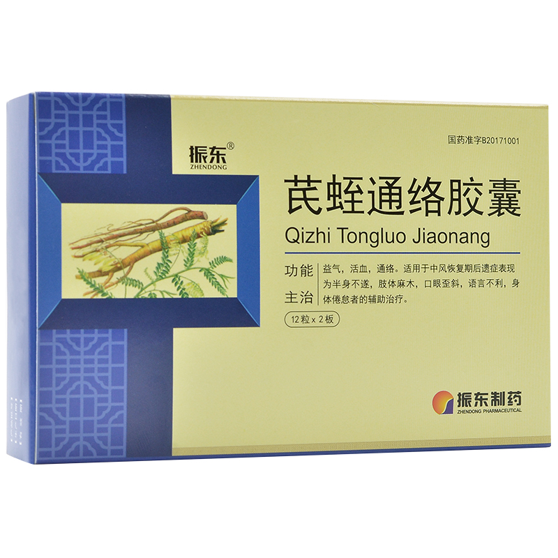 芪蛭通絡膠囊(振東)