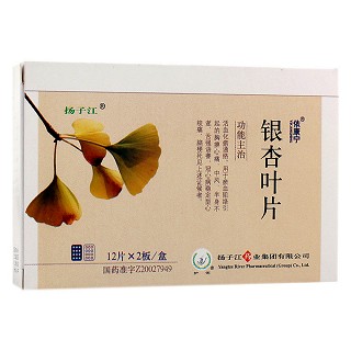 銀杏葉片(依康寧)