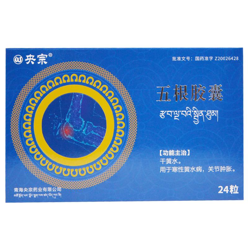 五根膠囊(央宗)