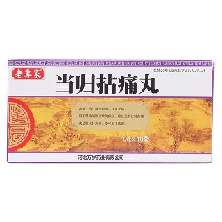 當(dāng)歸拈痛丸(老專家)包裝縮略圖1